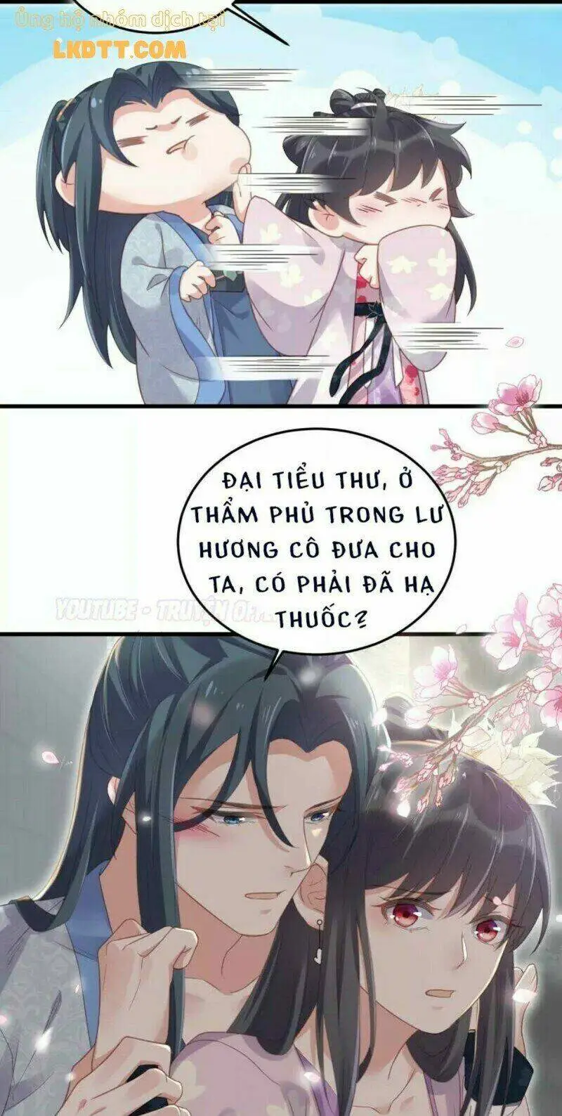 Chapter 23