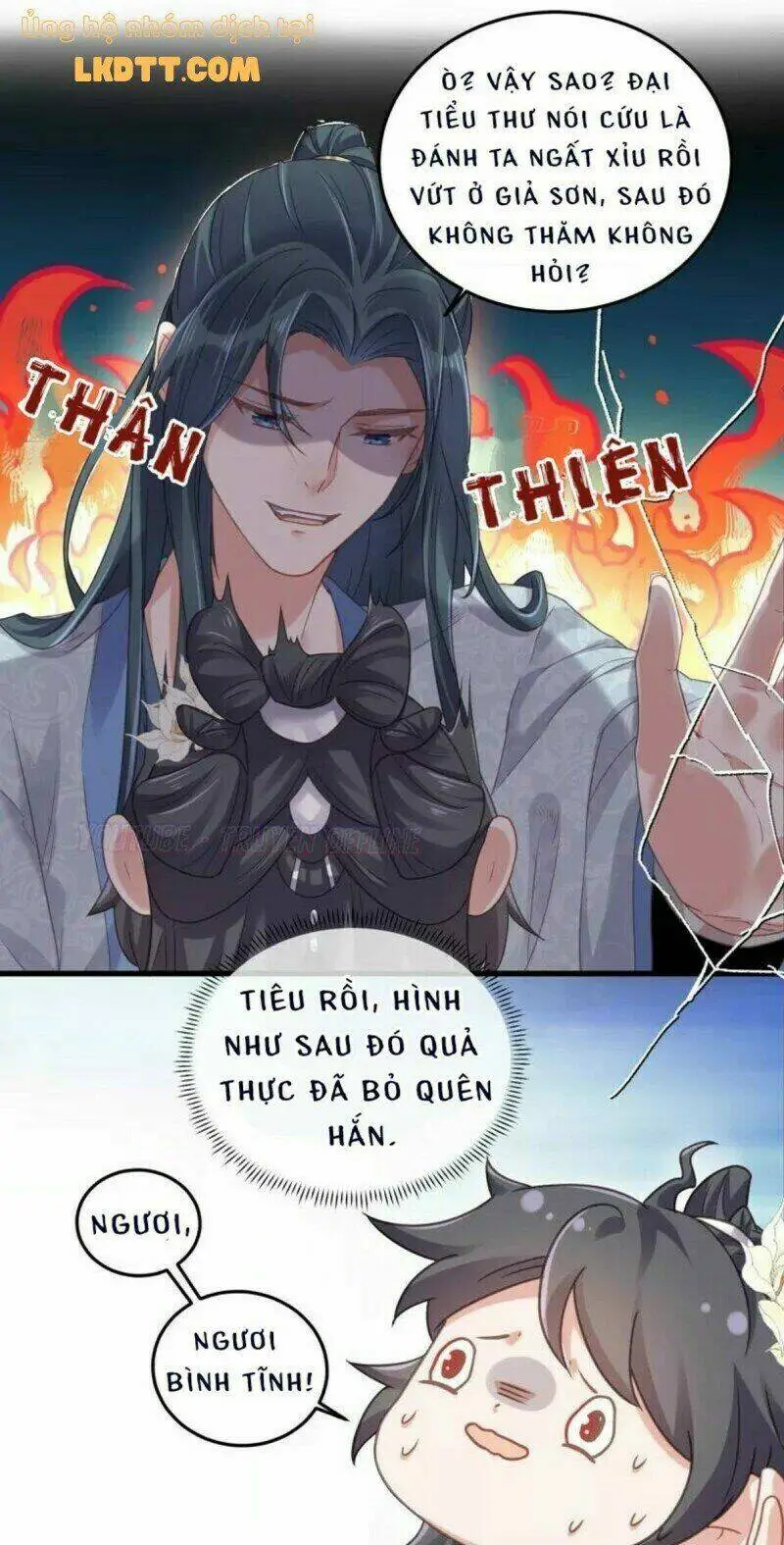 Chapter 23