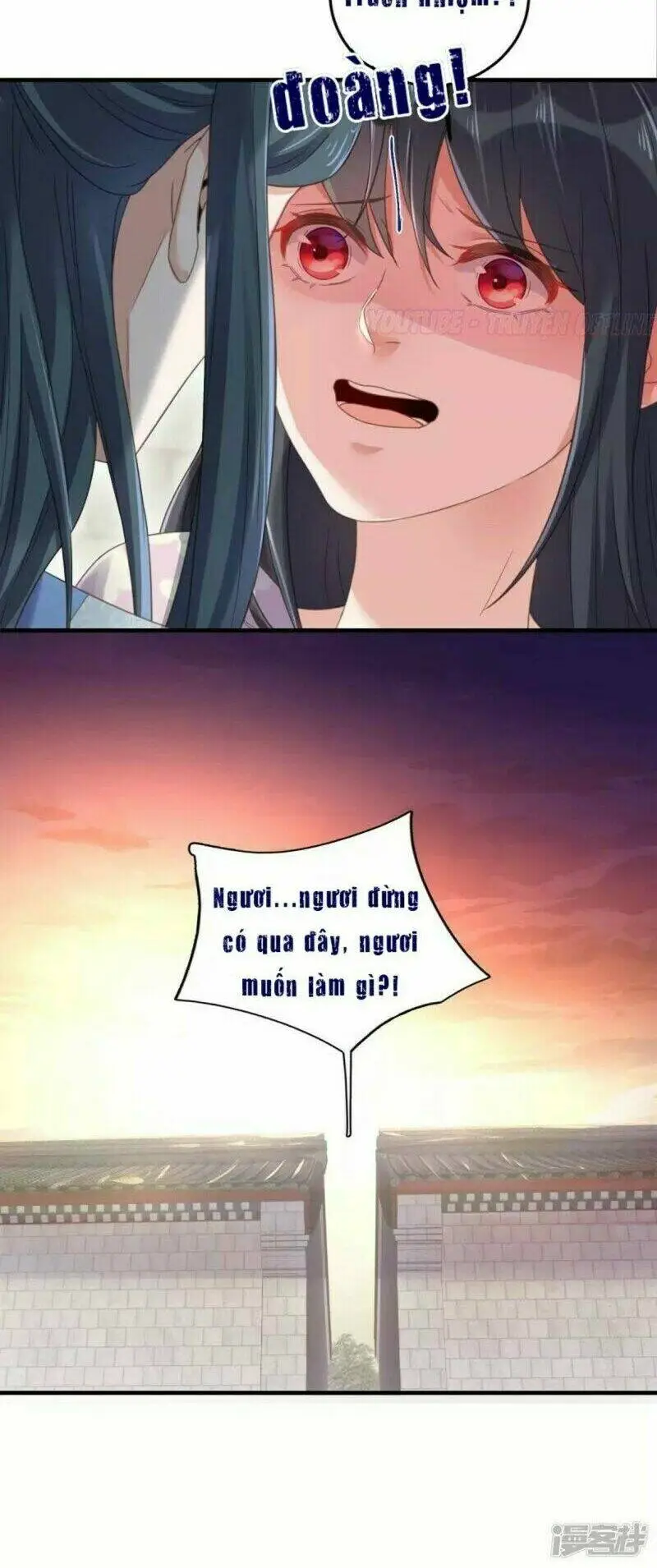 Chapter 23