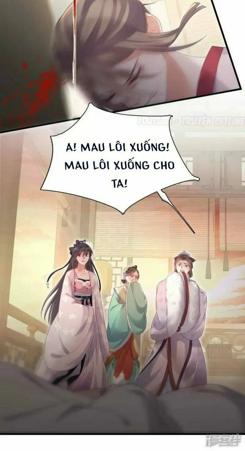 Chapter 23