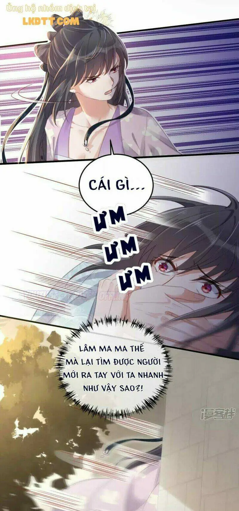 Chapter 23