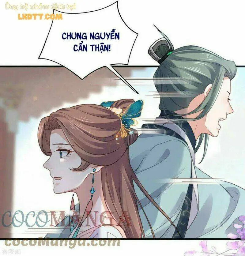 Chapter 22