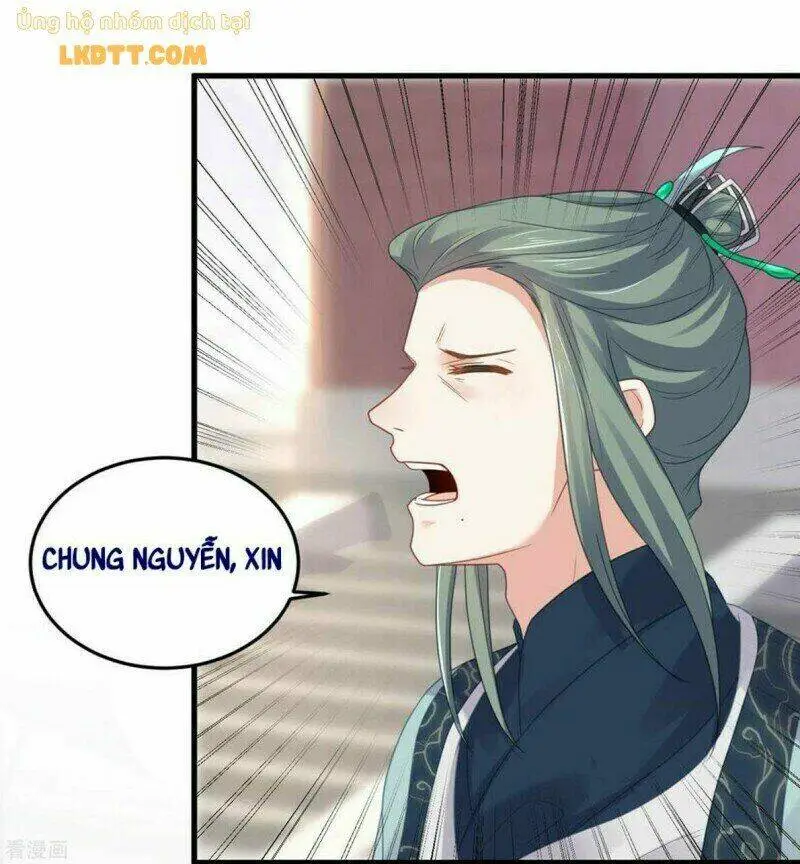 Chapter 22