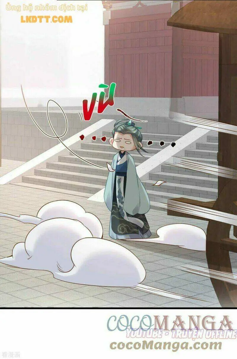 Chapter 22