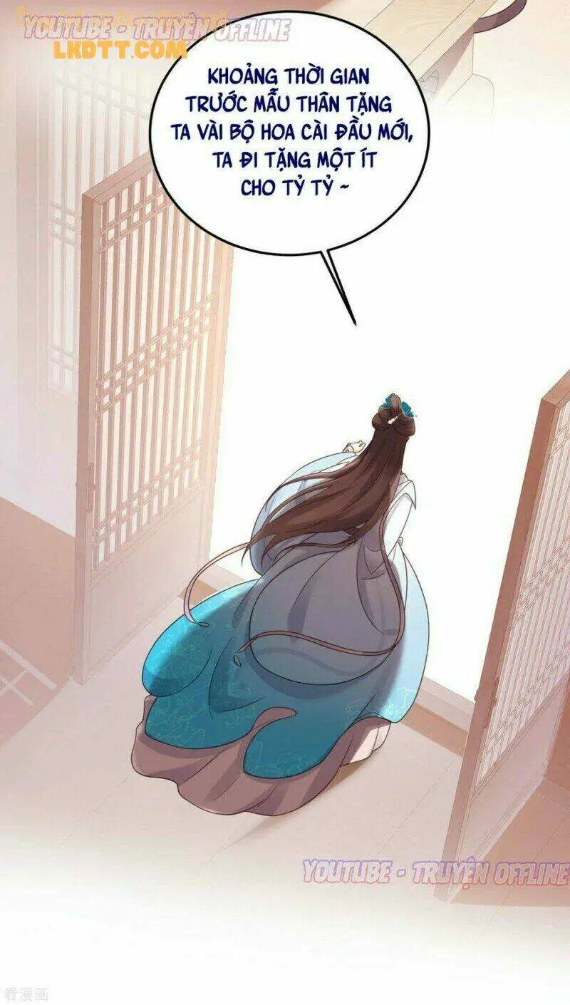 Chapter 22