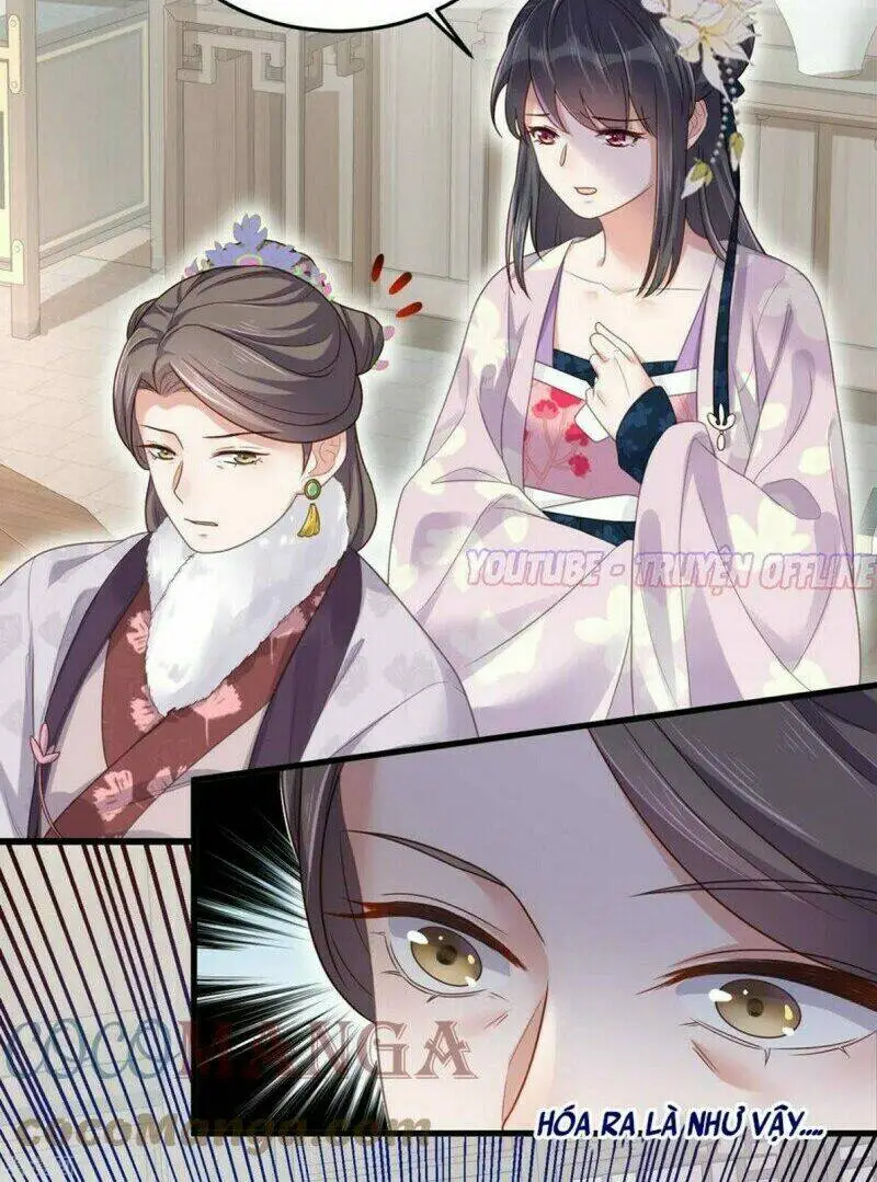 Chapter 22
