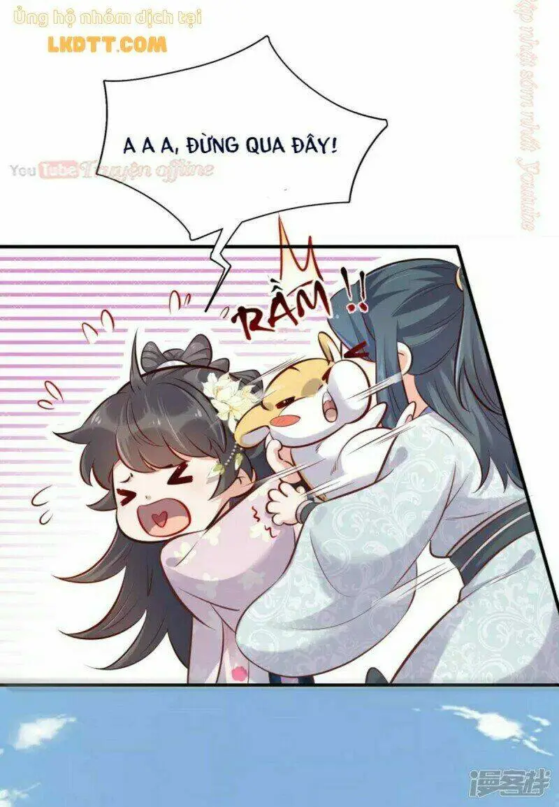 Chapter 21