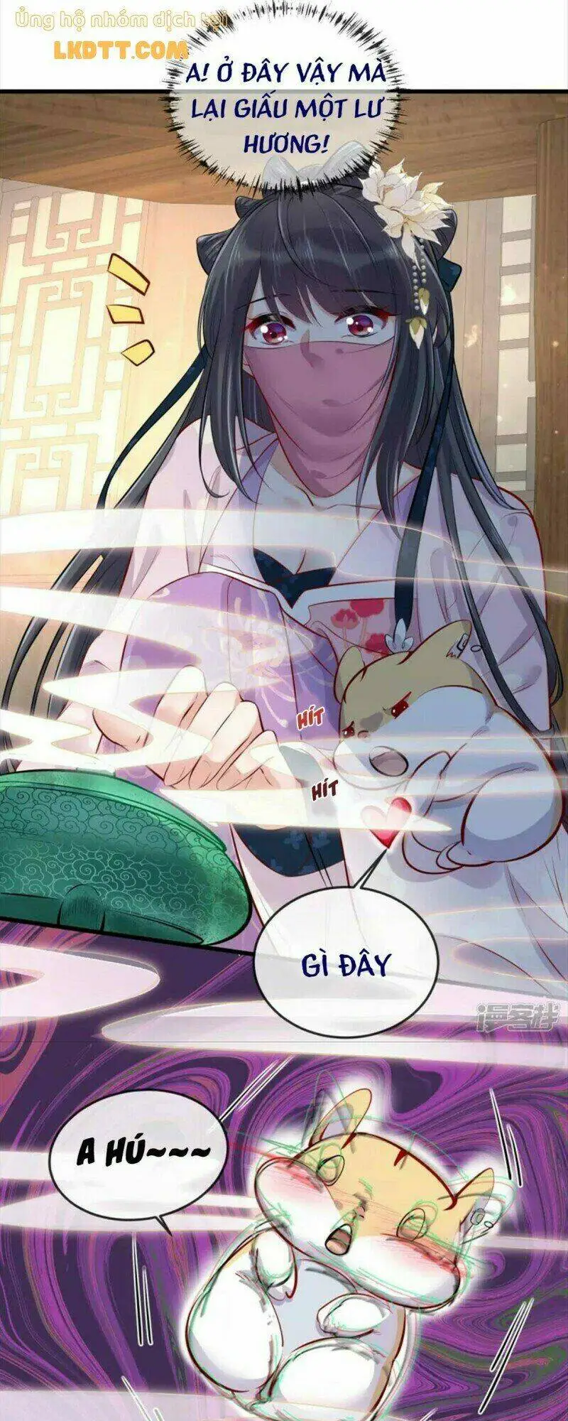 Chapter 20