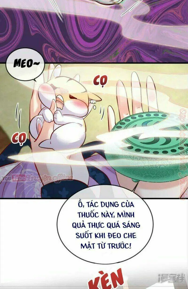 Chapter 20