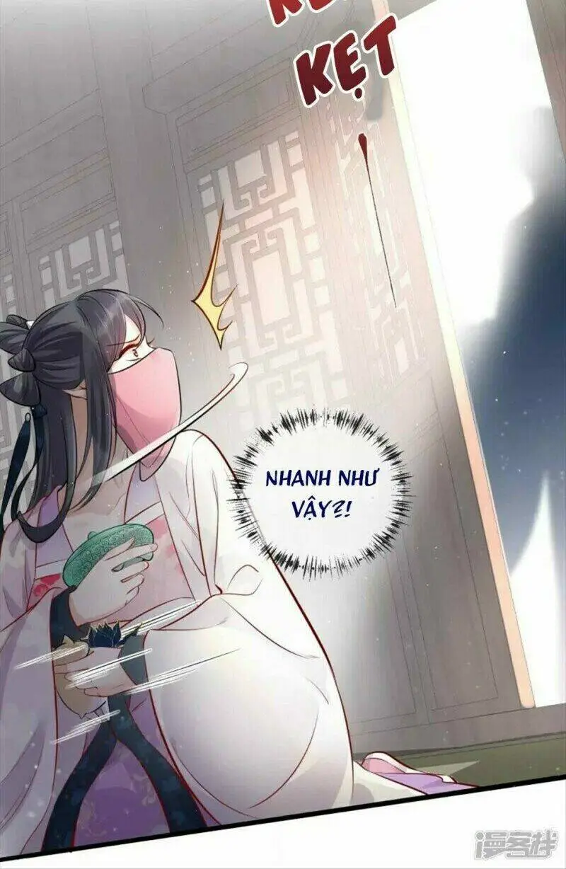 Chapter 20
