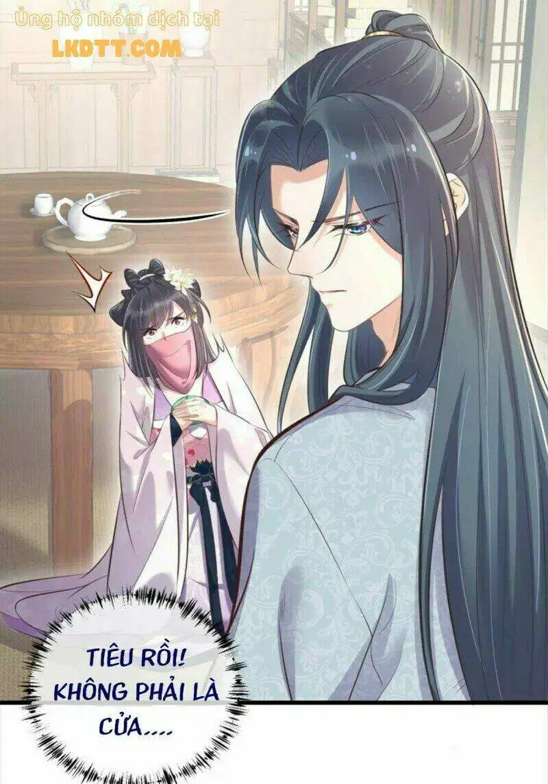 Chapter 20