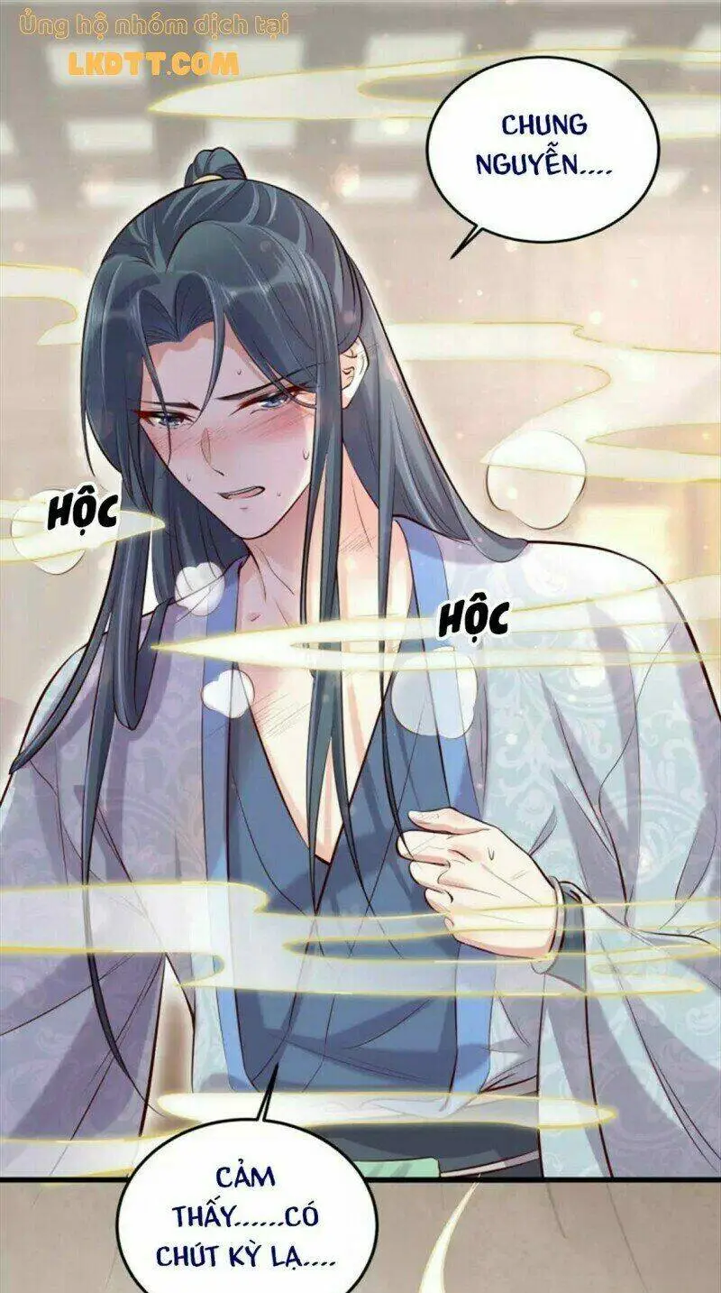 Chapter 20