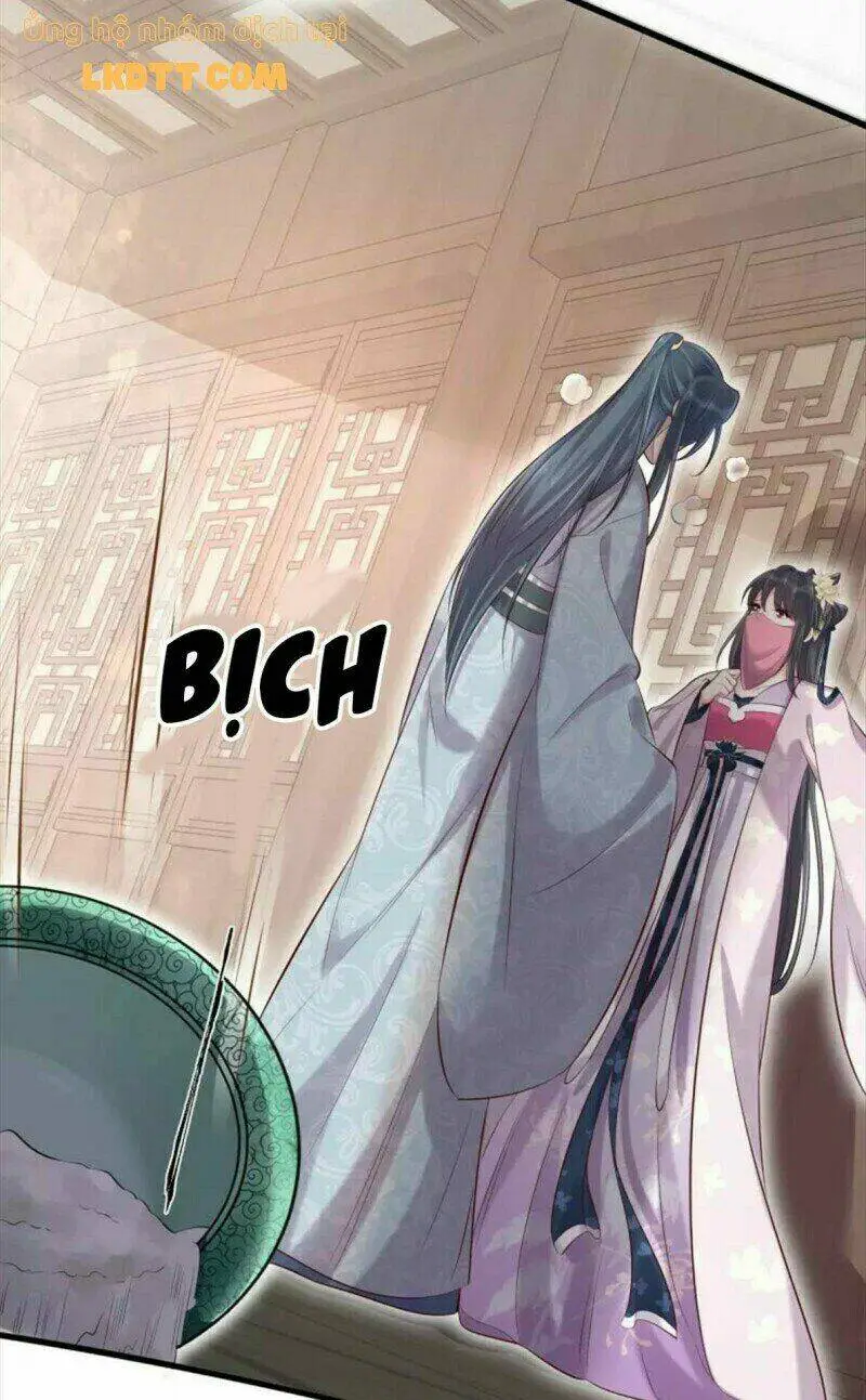 Chapter 20