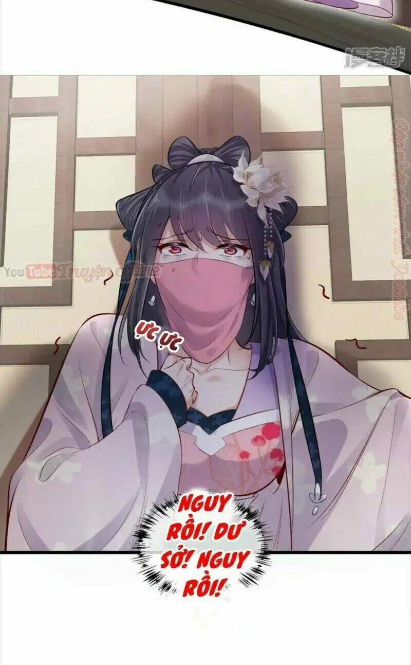 Chapter 20