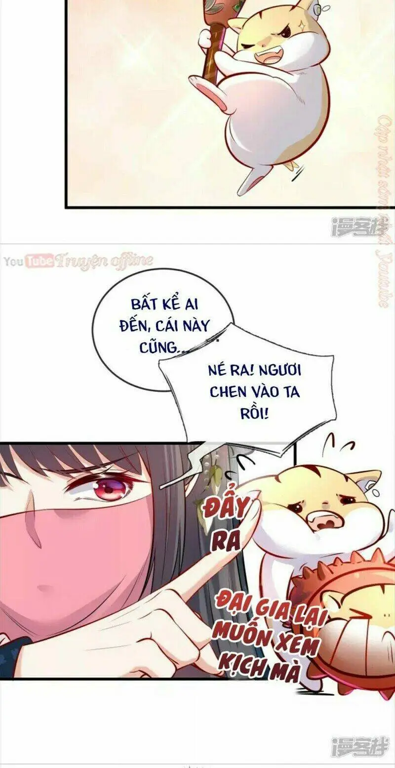 Chapter 20