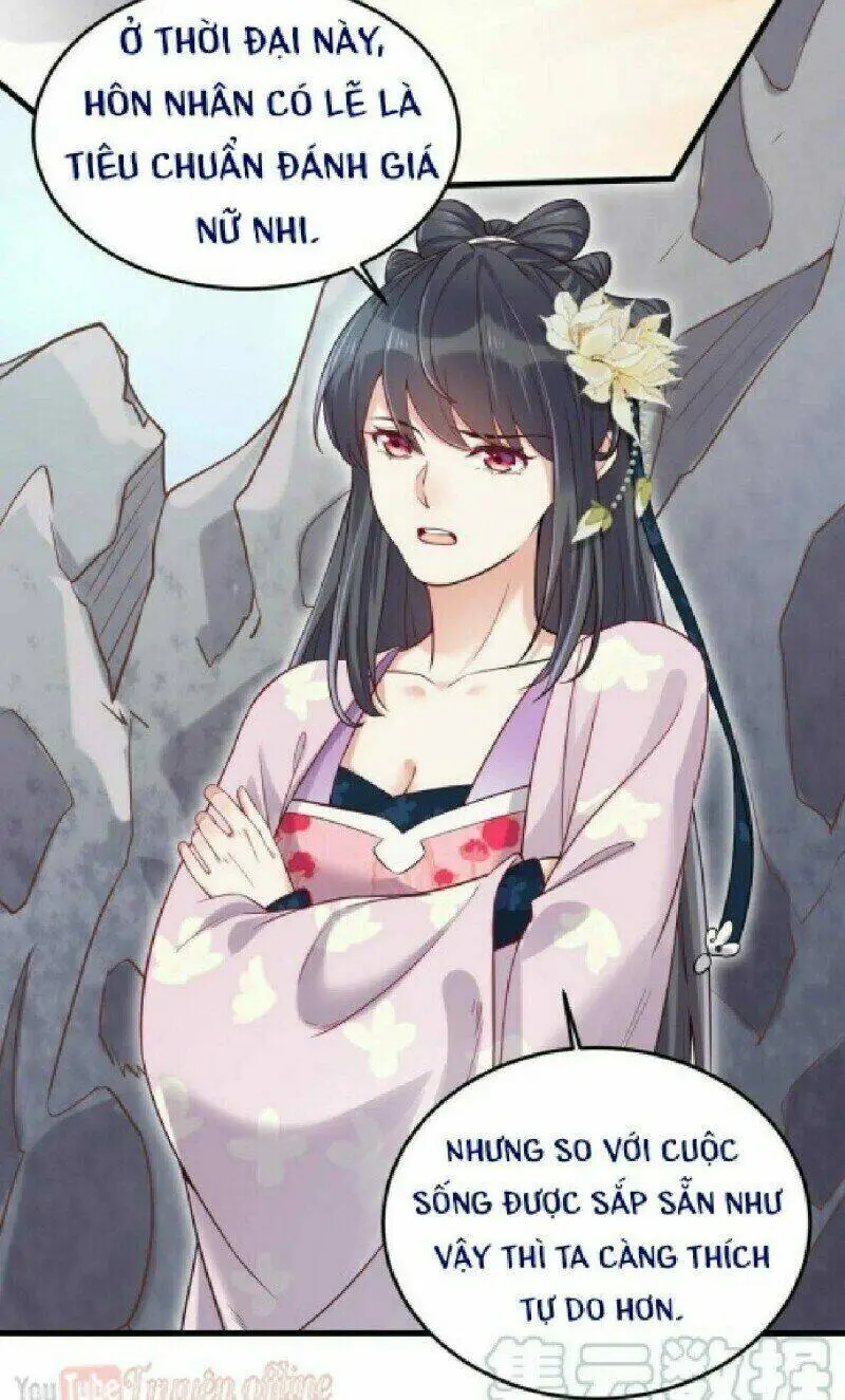 Chapter 19