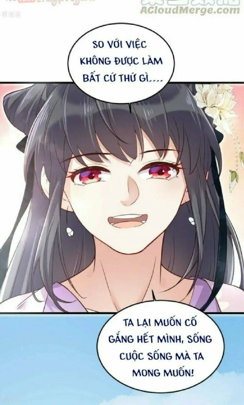 Chapter 19