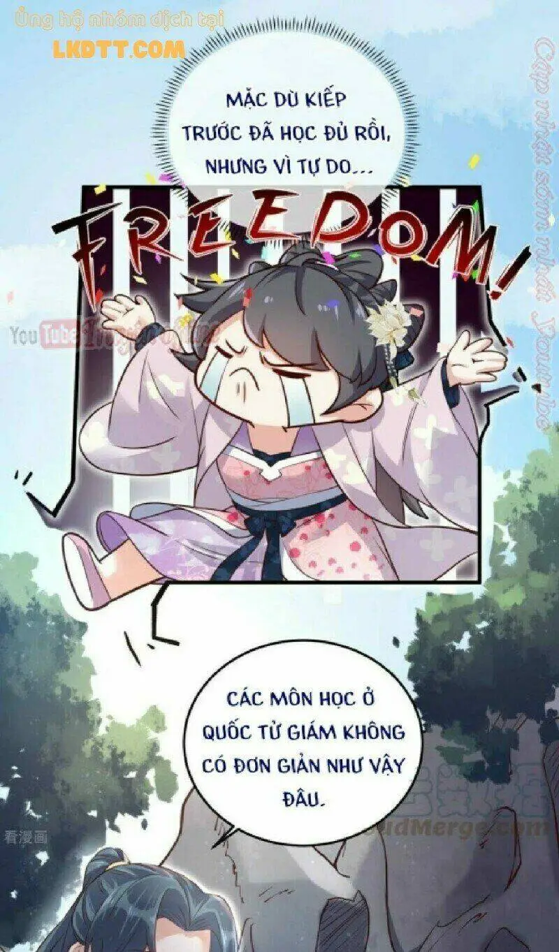 Chapter 19