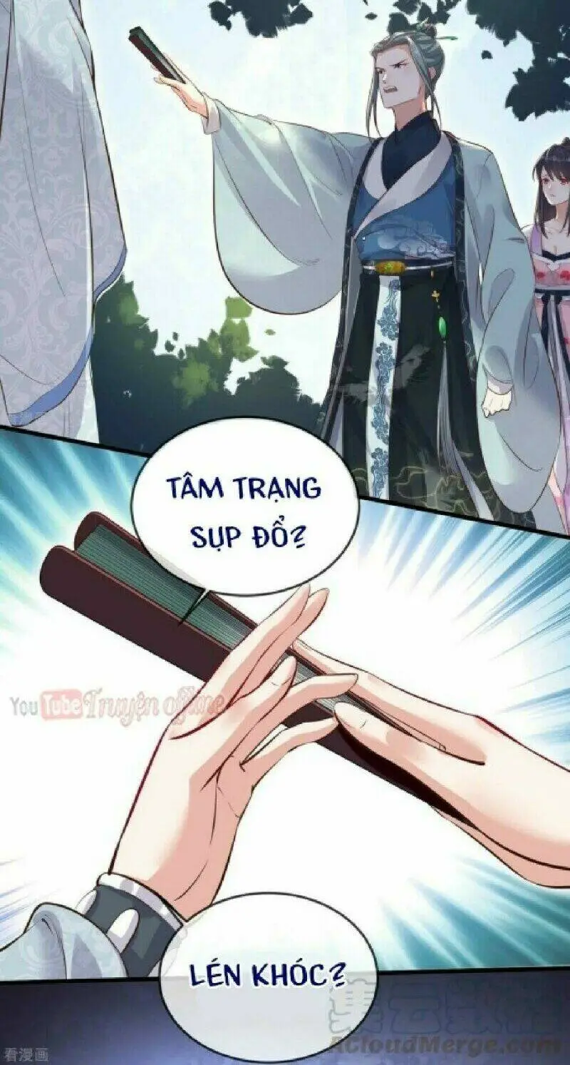 Chapter 19