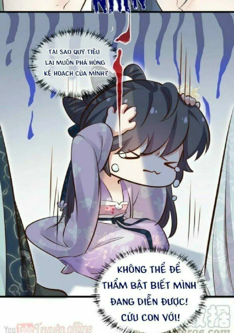 Chapter 19