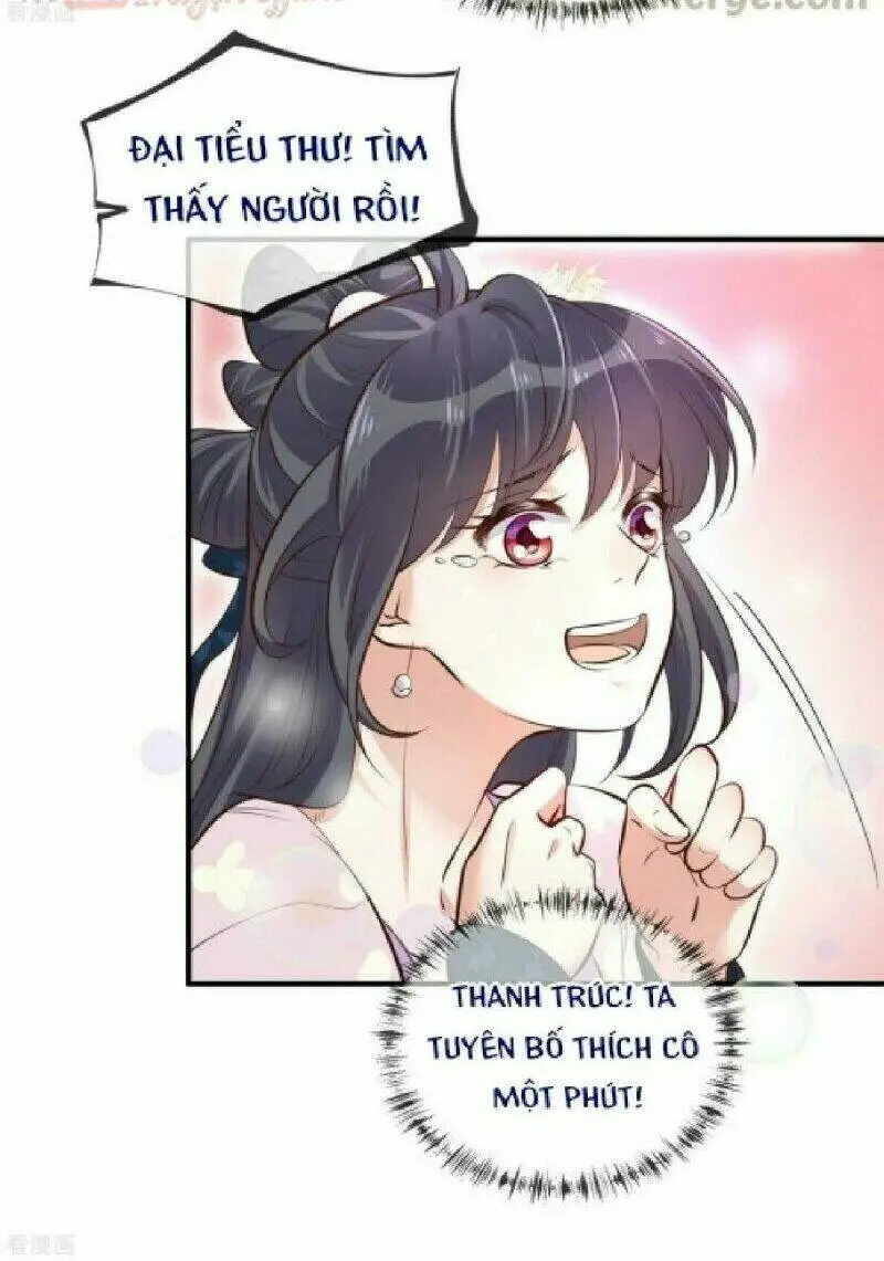 Chapter 19
