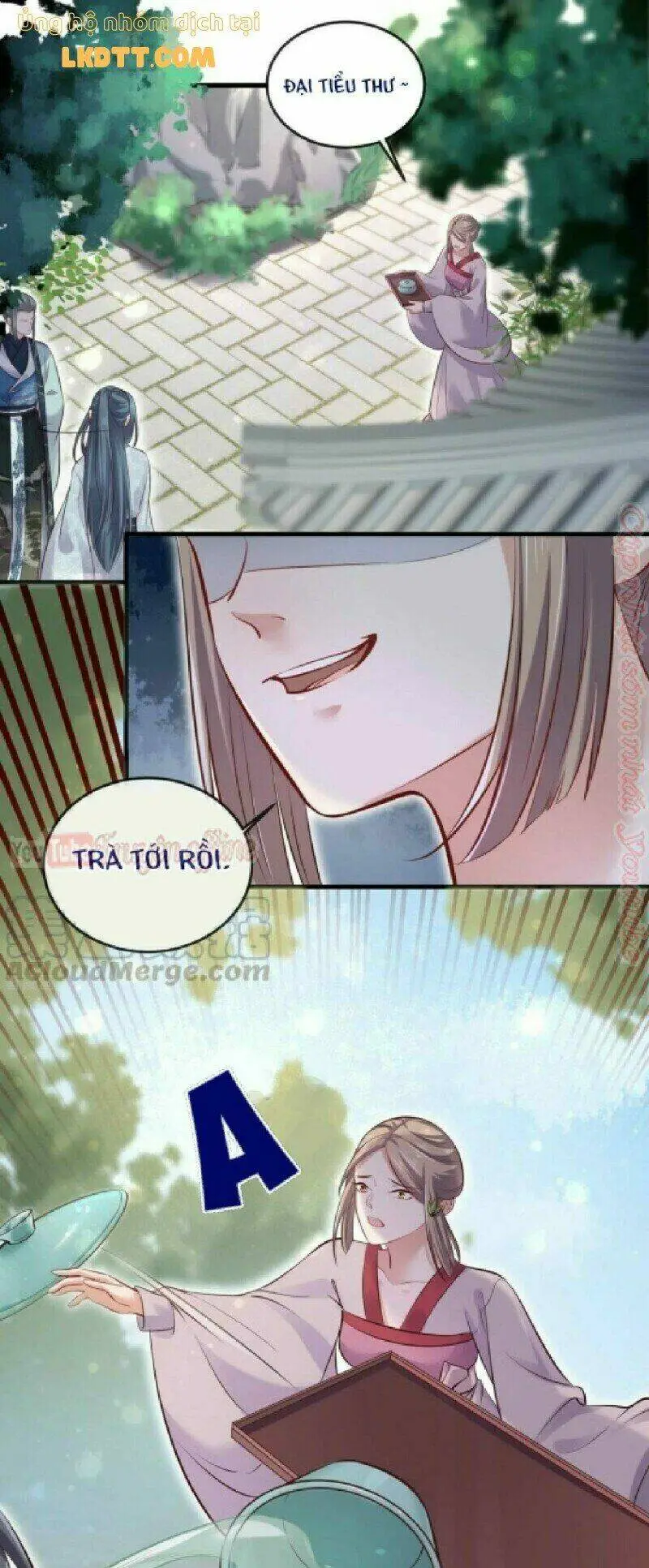 Chapter 19