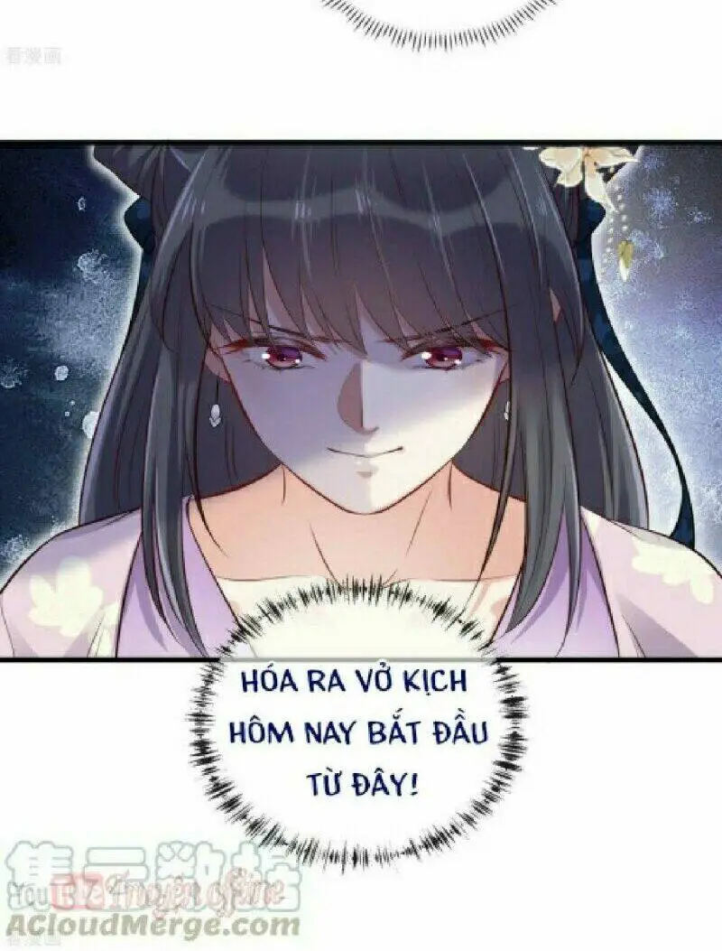 Chapter 19