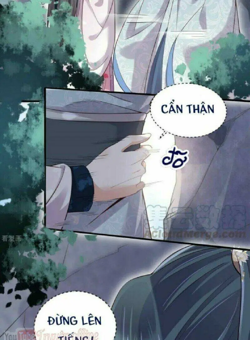 Chapter 19