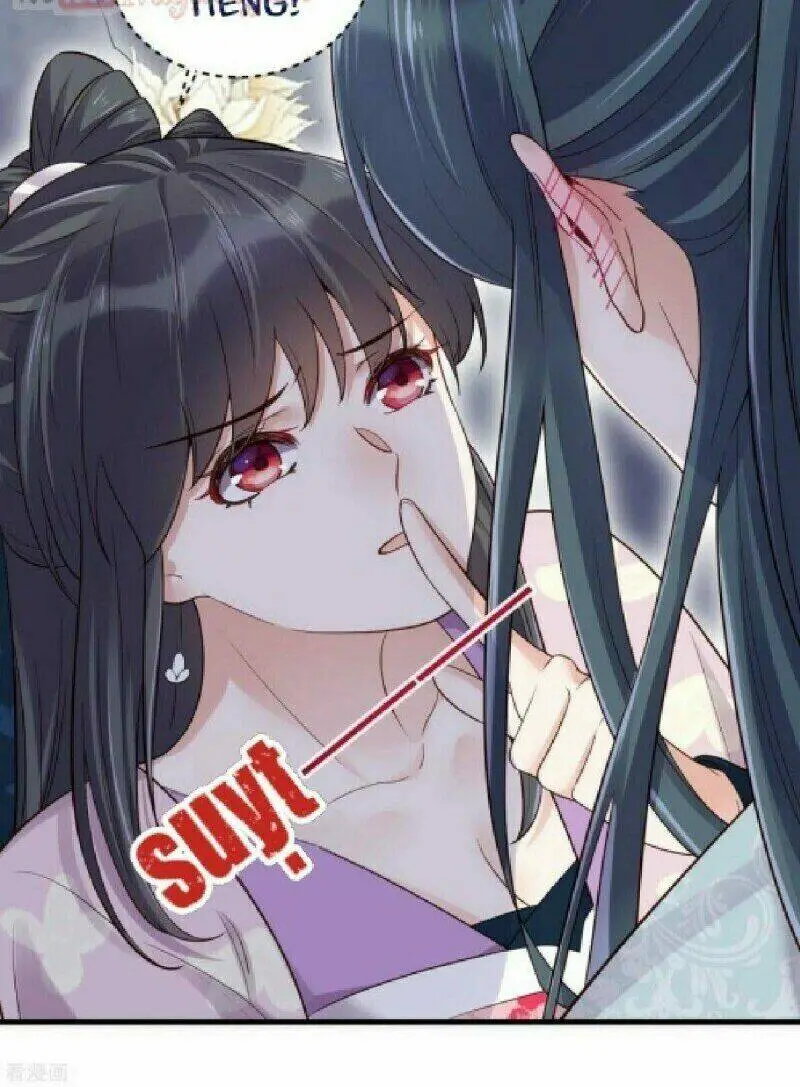 Chapter 19