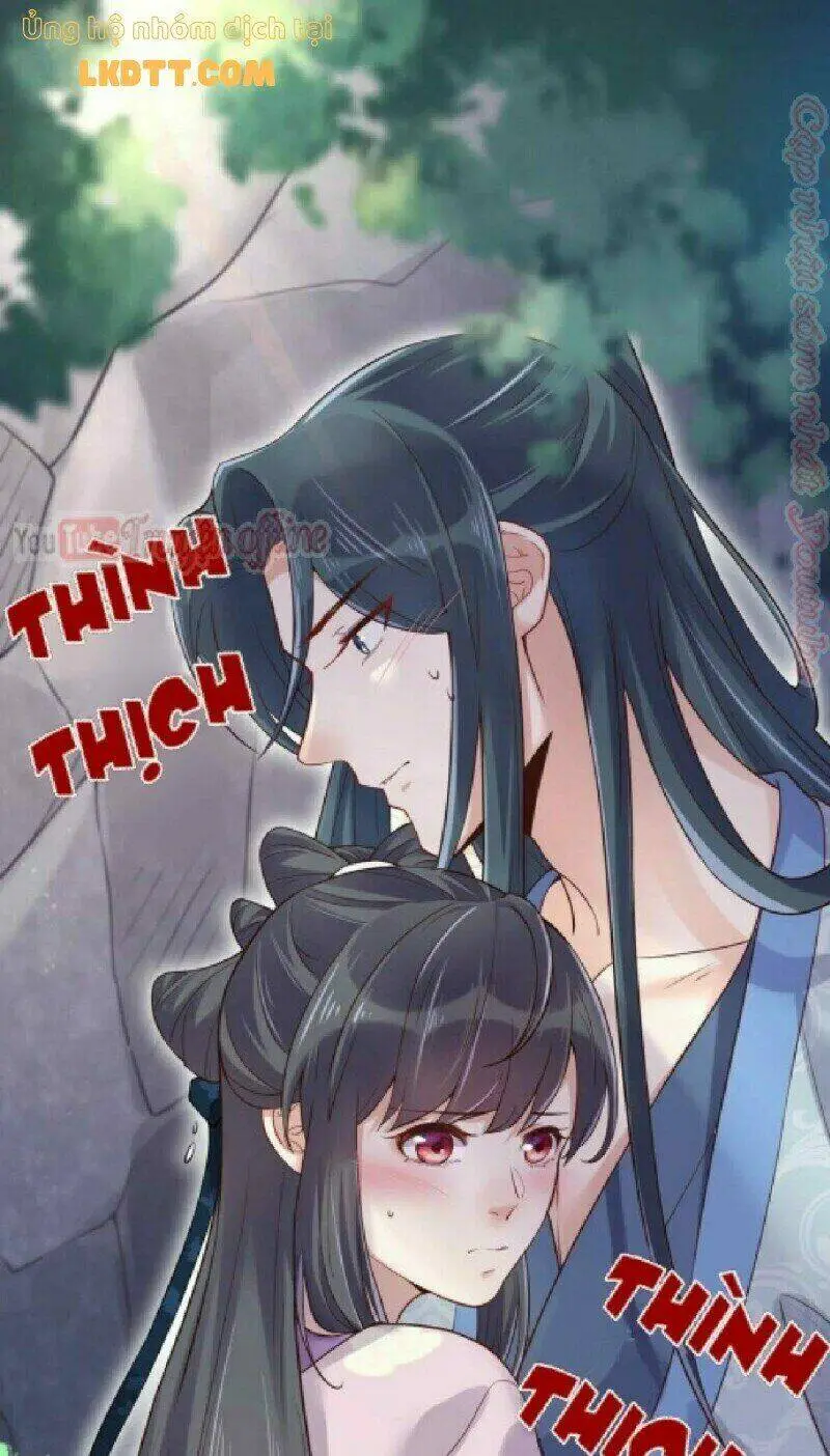 Chapter 19