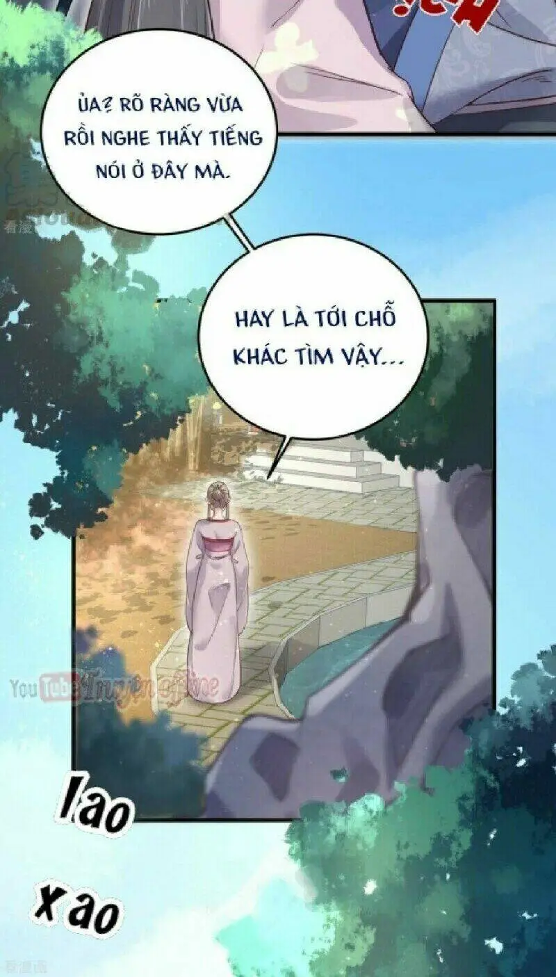 Chapter 19