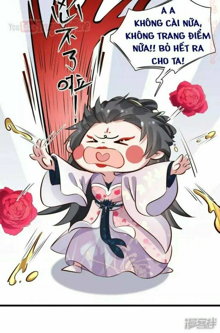 Chapter 17