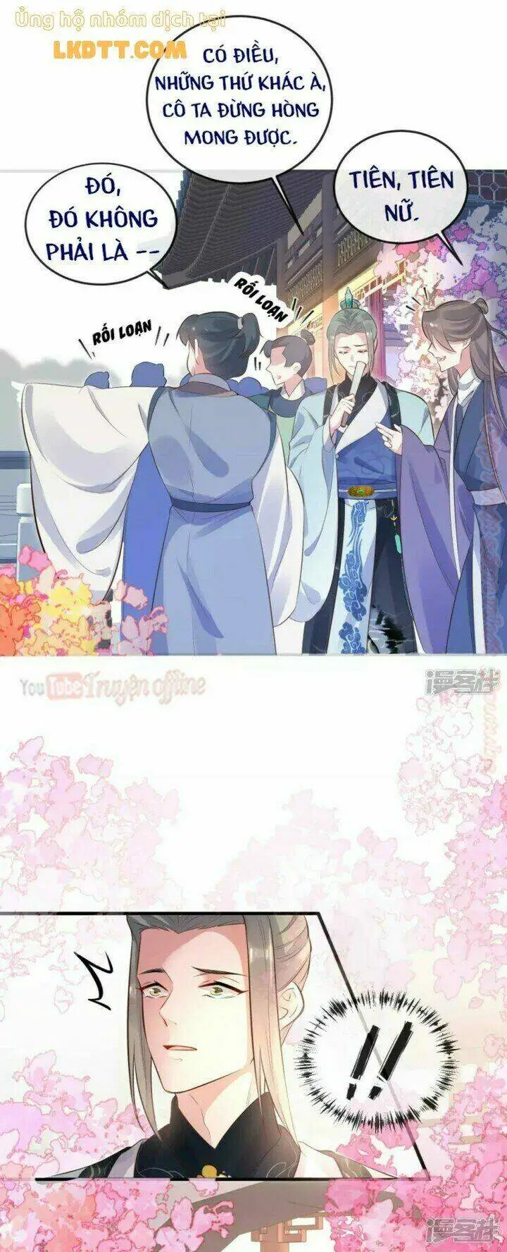 Chapter 17