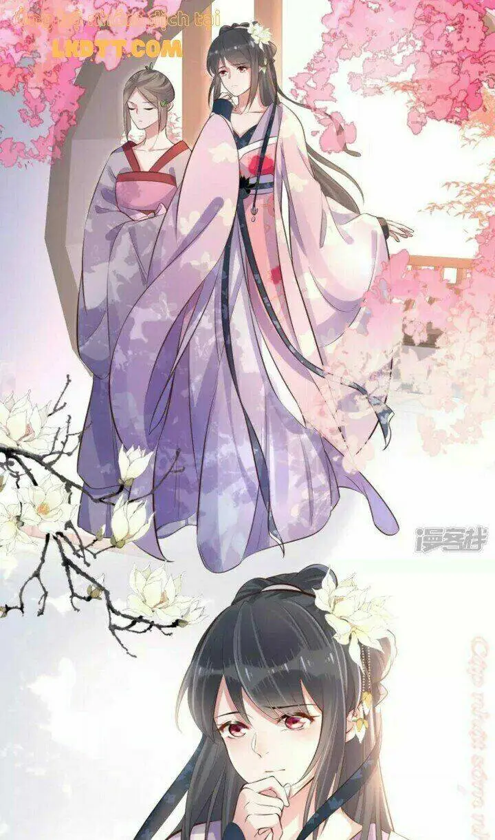 Chapter 17