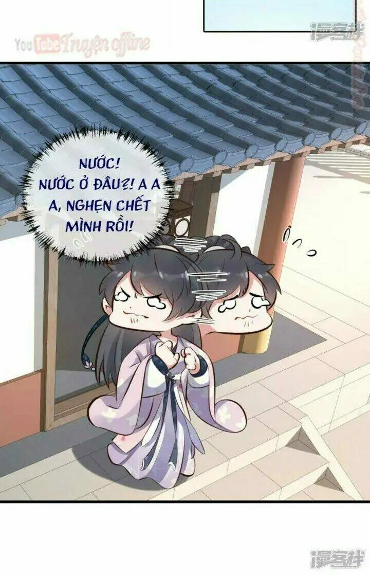 Chapter 17