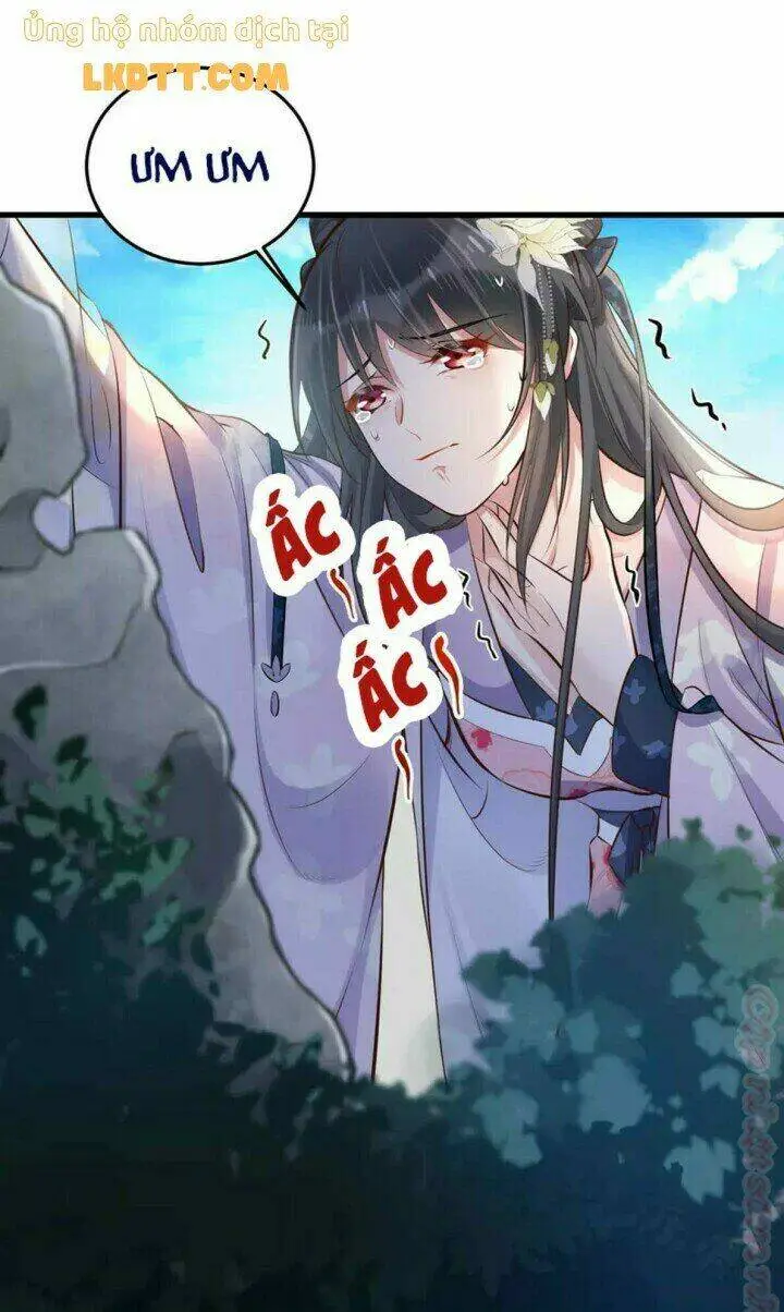 Chapter 17