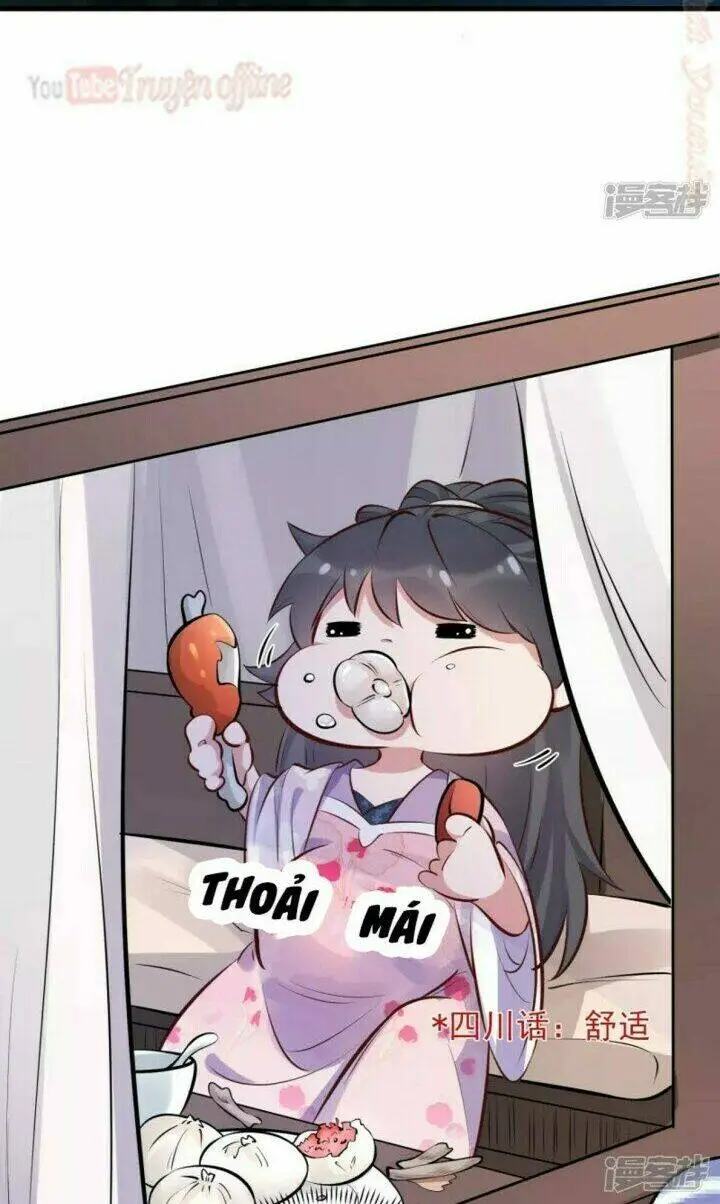 Chapter 17