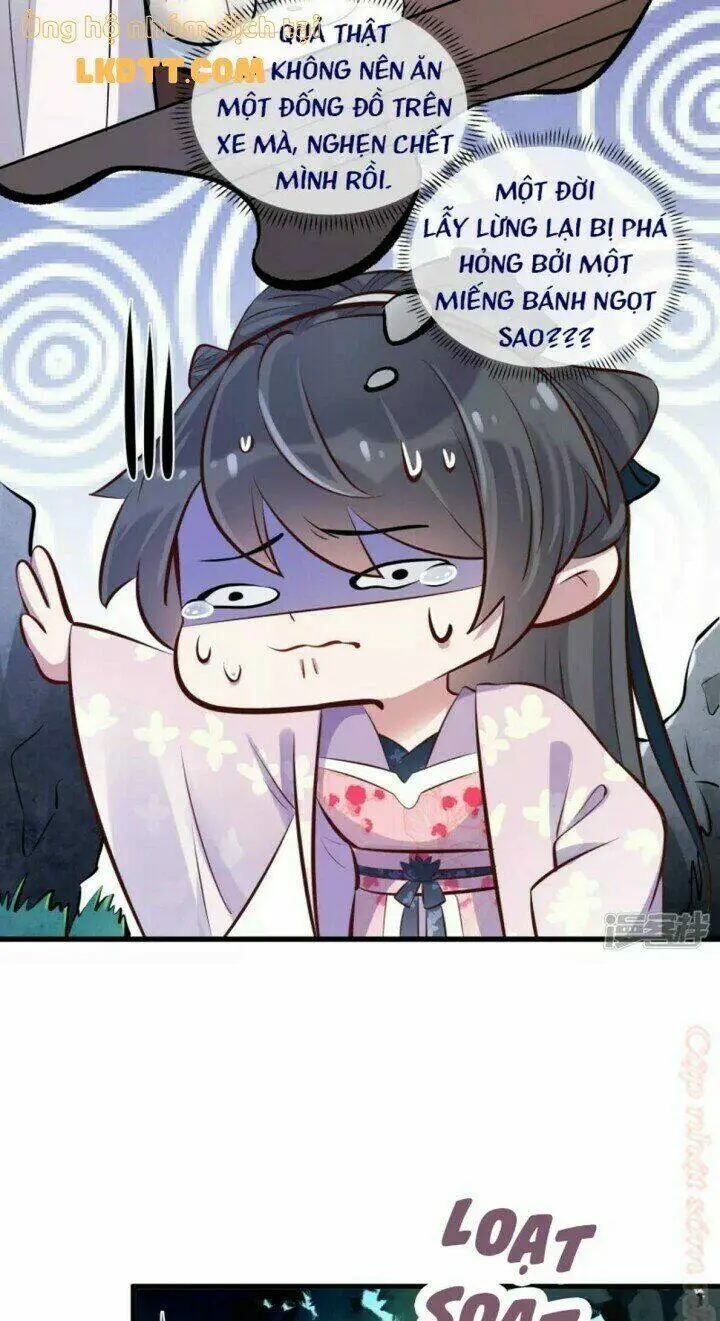 Chapter 17
