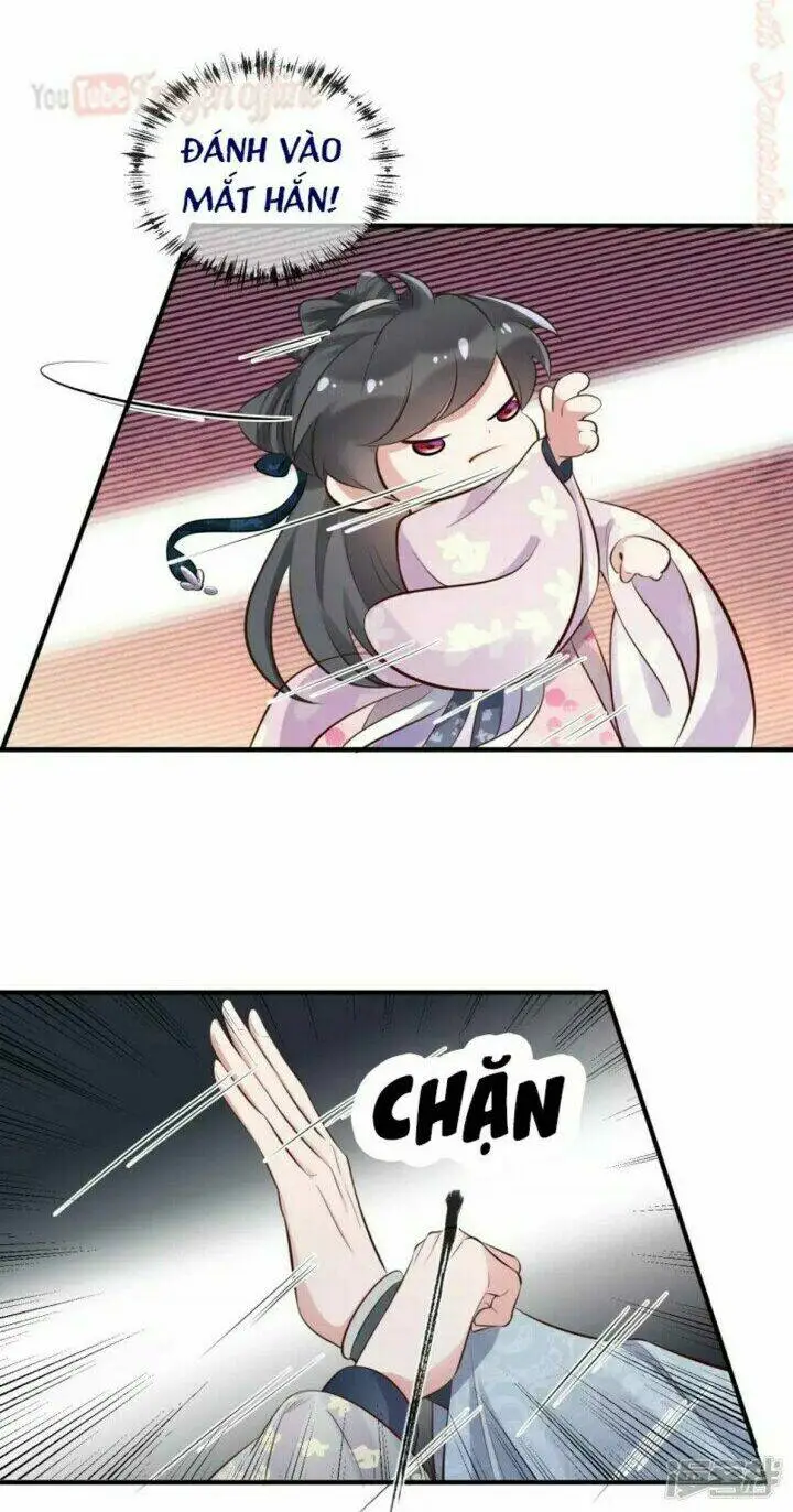 Chapter 17
