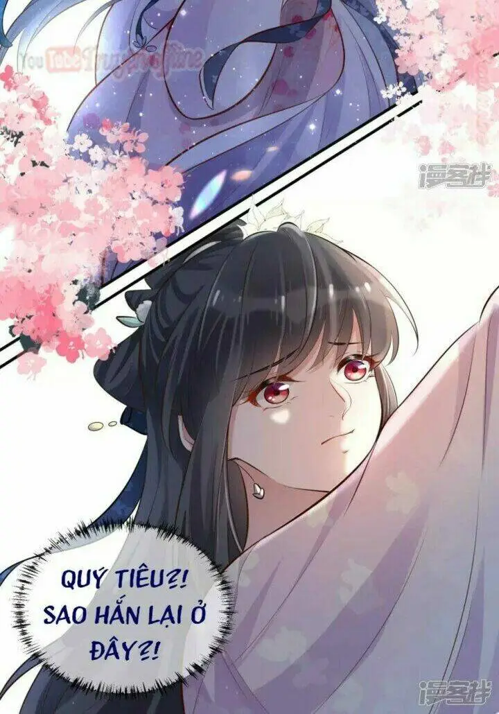 Chapter 17
