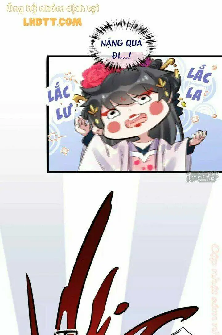 Chapter 17