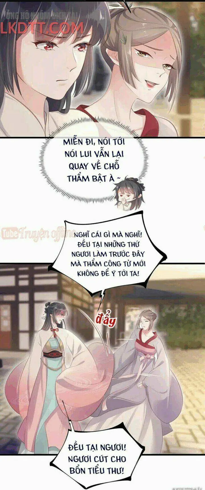 Chapter 15