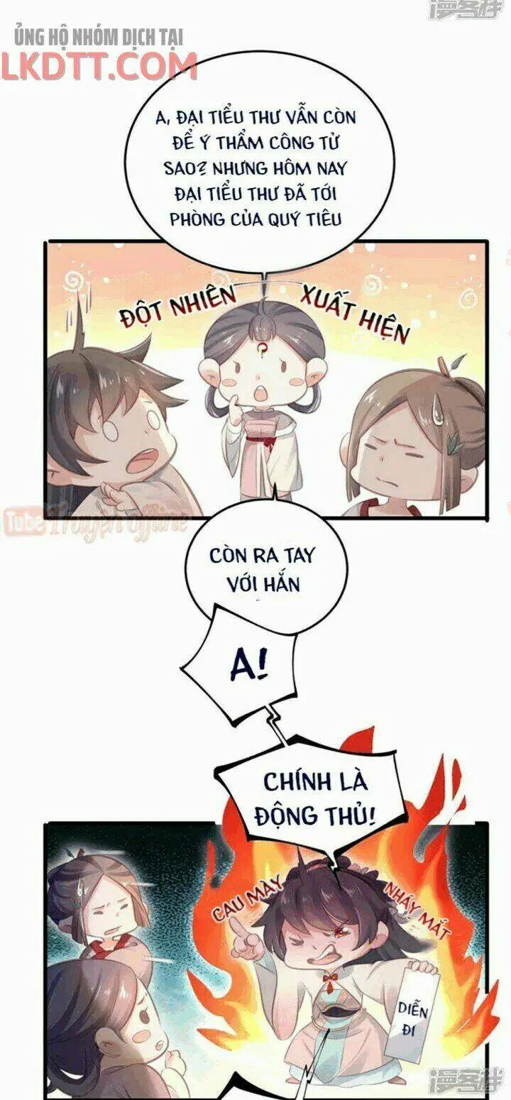 Chapter 15