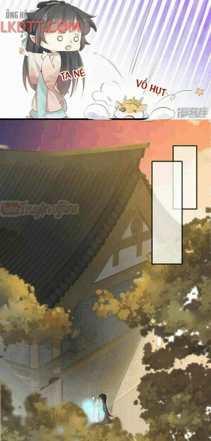 Chapter 15