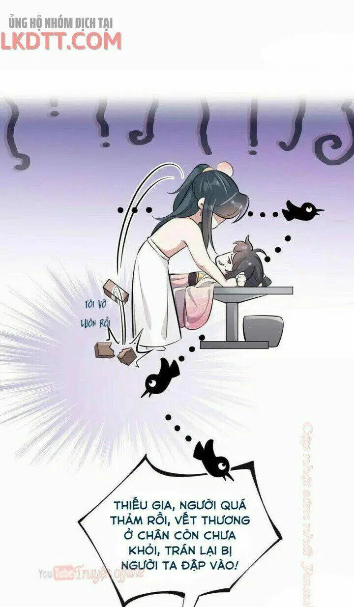 Chapter 13
