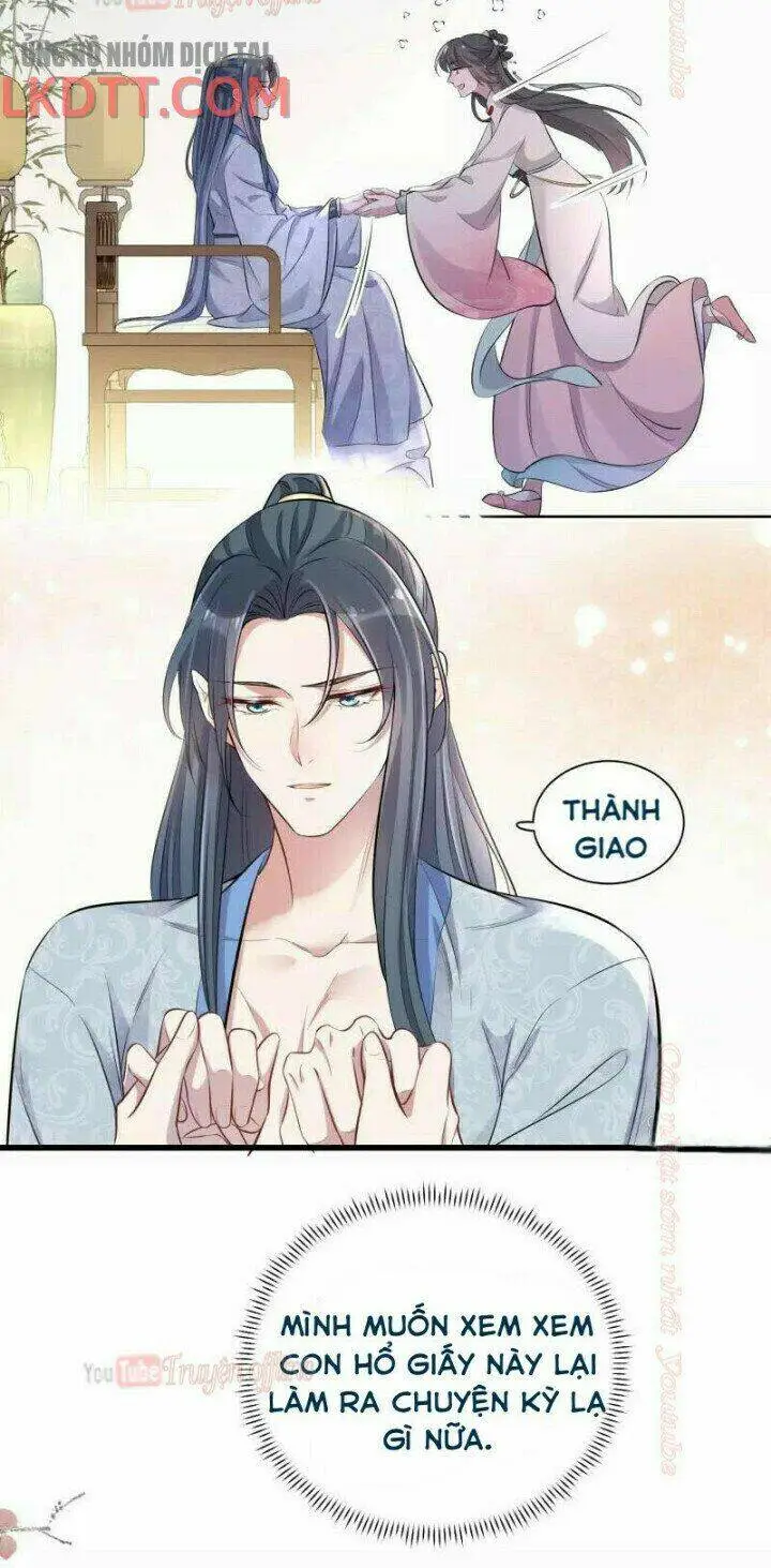 Chapter 13