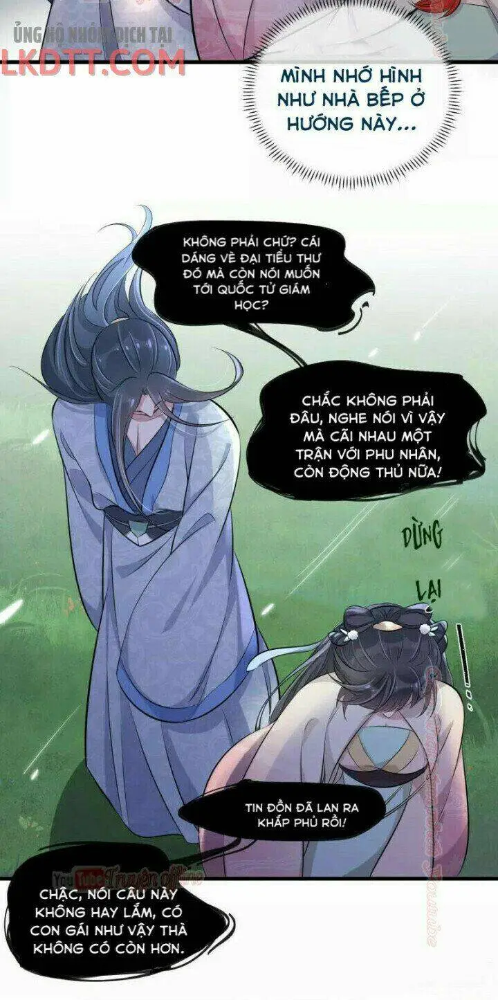 Chapter 13