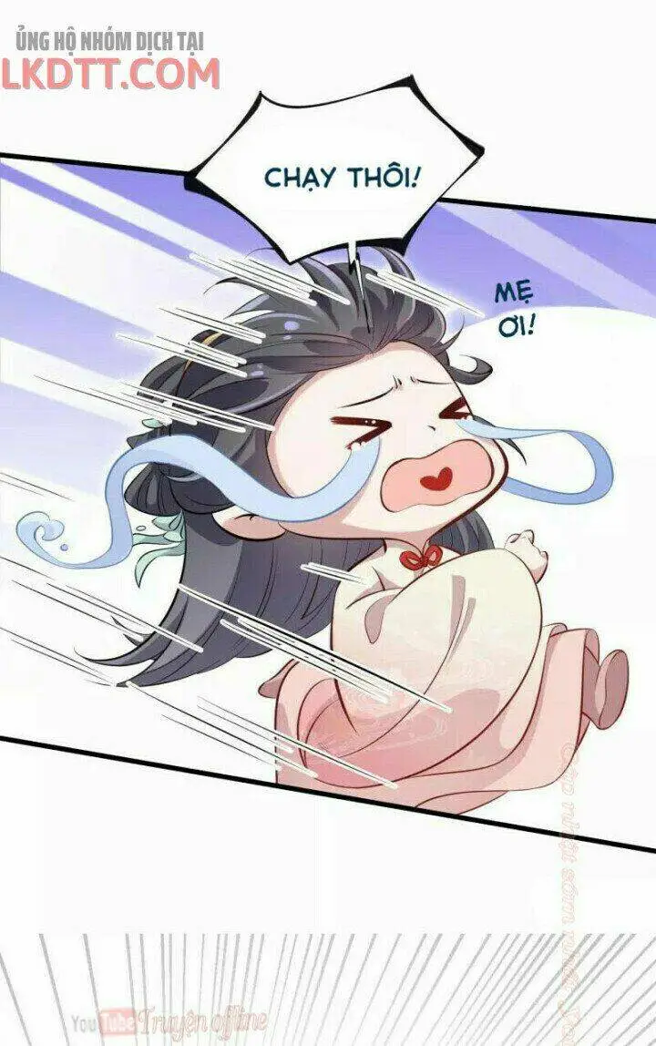 Chapter 13