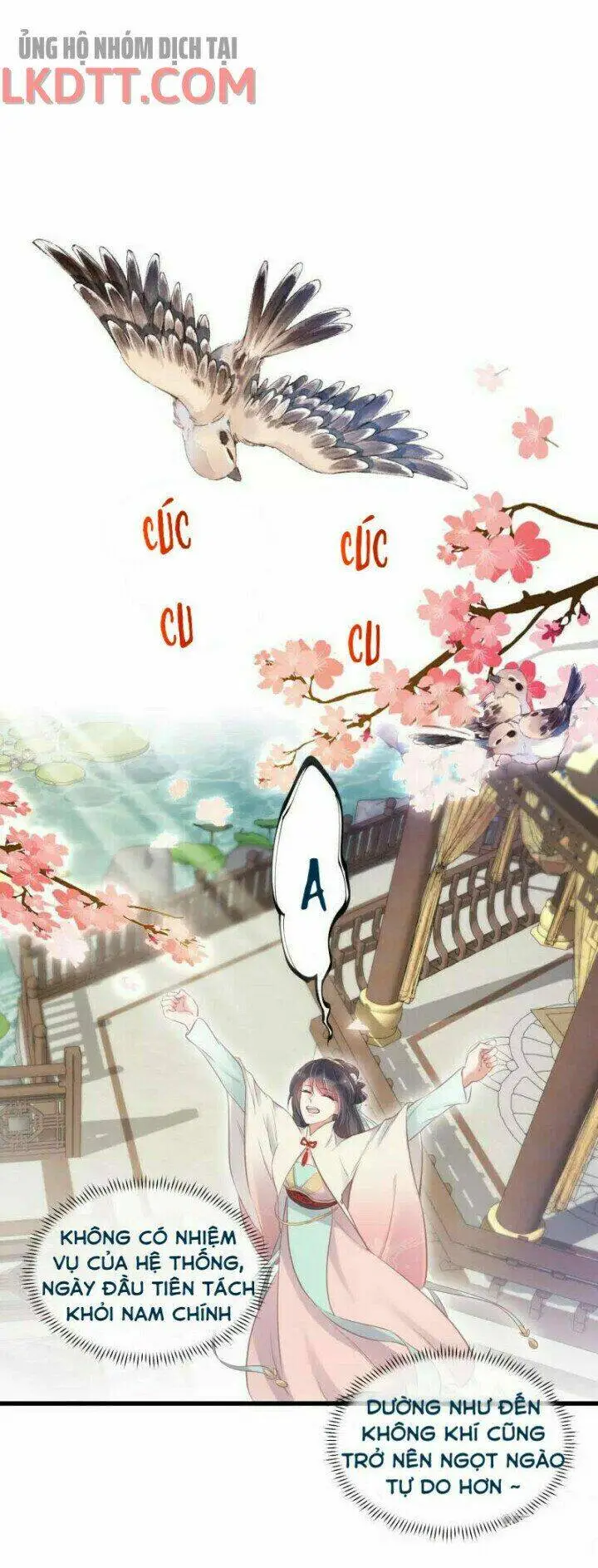 Chapter 12
