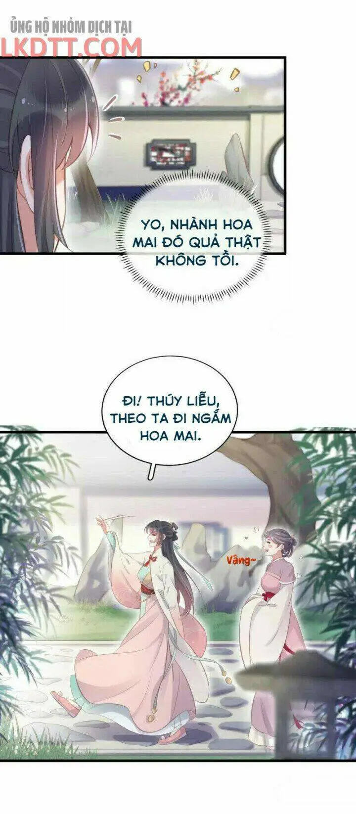 Chapter 12